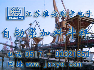 自動(dòng)料斗秤,自動(dòng)累計(jì)料斗秤,全自動(dòng)料斗秤,自動(dòng)料斗秤廠(chǎng)家,全自動(dòng)累計(jì)料斗秤