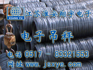 中富國(guó)際電子吊秤無線式 - 電子吊秤廠家江蘇淮安翔宇電子吊秤案