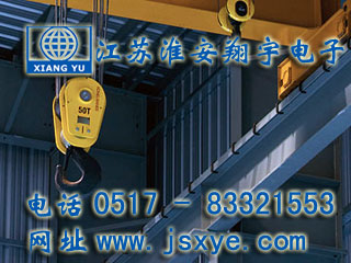起重限制保護(hù)系統(tǒng)廠家江蘇淮安翔宇電子測控自動(dòng)化起重機(jī)超載限制器 起重超載限制器保護(hù)系統(tǒng)安全可靠堅(jiān)固耐用 更多起重機(jī)起重限制器就在www.zhuji163.cn 電話0517-83321553